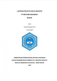 PT MECOSIN INDONESIA, KEDUNG HALANG : 