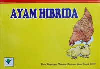 Ayam Hibrida