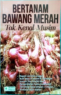 Bertanam Bawang Merah Tak Kenal Musim