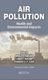 Image of Air Pollution Health and Environmental Impacts
